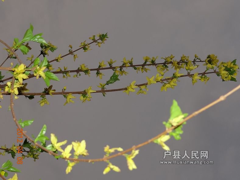 DSC04285.JPG
