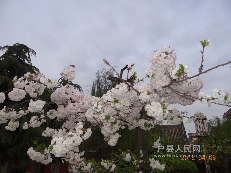 DSC04292.JPG