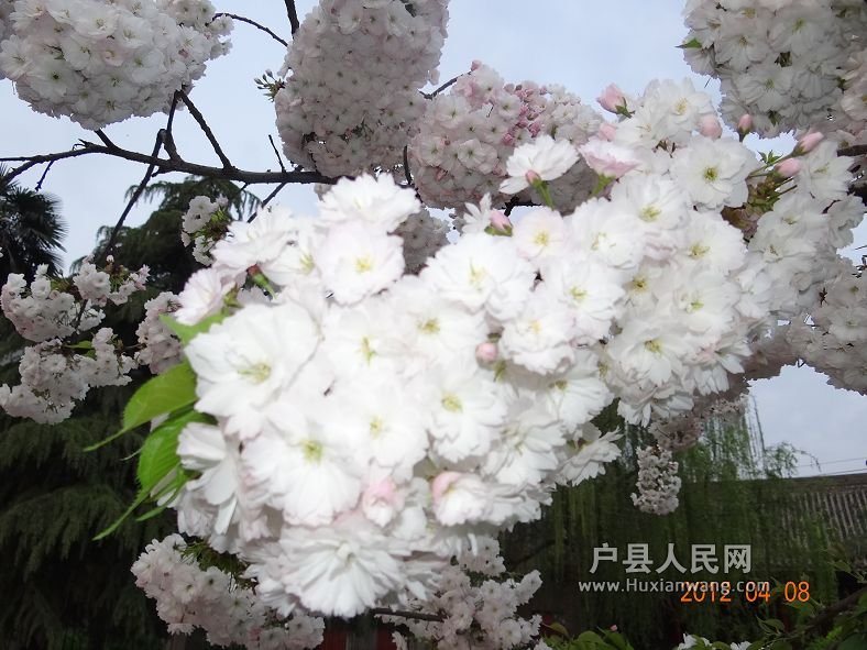 DSC04293.JPG