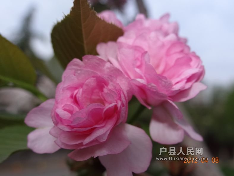DSC04298.JPG