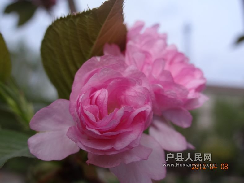 DSC04299.JPG