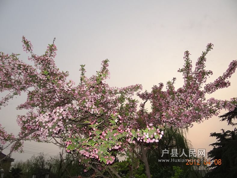 DSC04301.JPG
