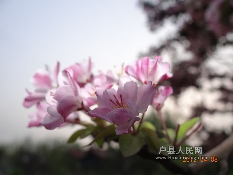 DSC04304.JPG