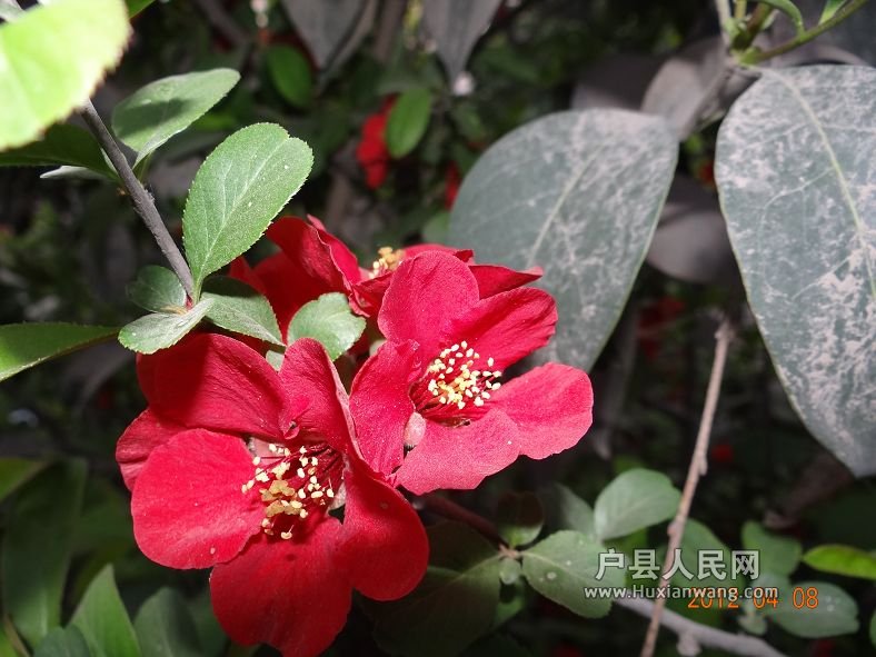 DSC04306.JPG