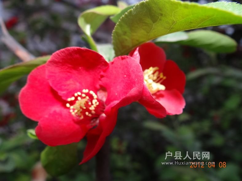 DSC04310.JPG