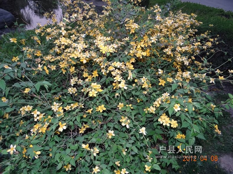 DSC04312.JPG