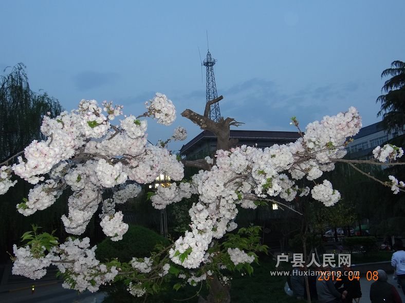 DSC04332.JPG