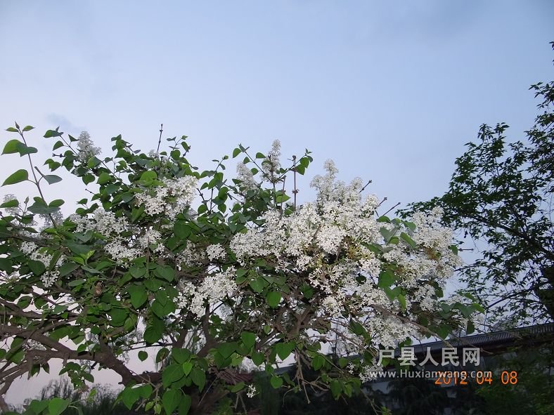 DSC04322.JPG