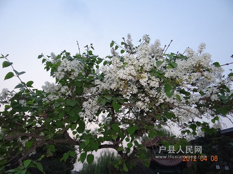 DSC04323.JPG