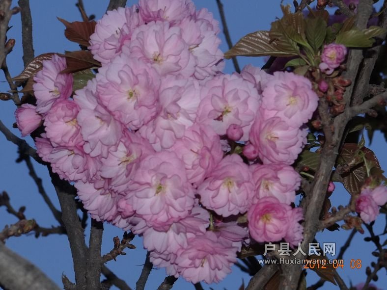 DSC04326.JPG