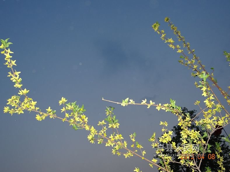 DSC04328.JPG
