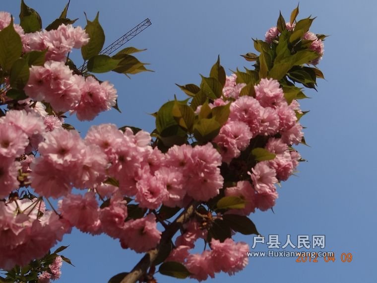 DSC04379.JPG