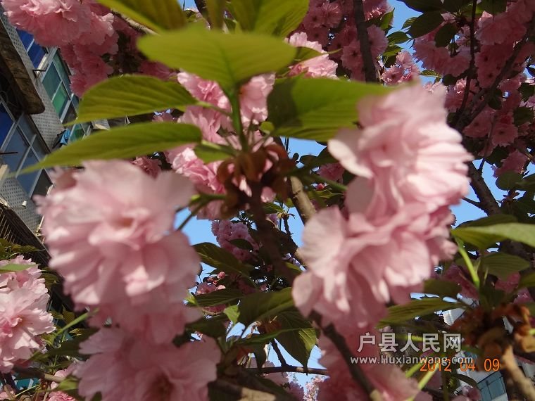DSC04380.JPG