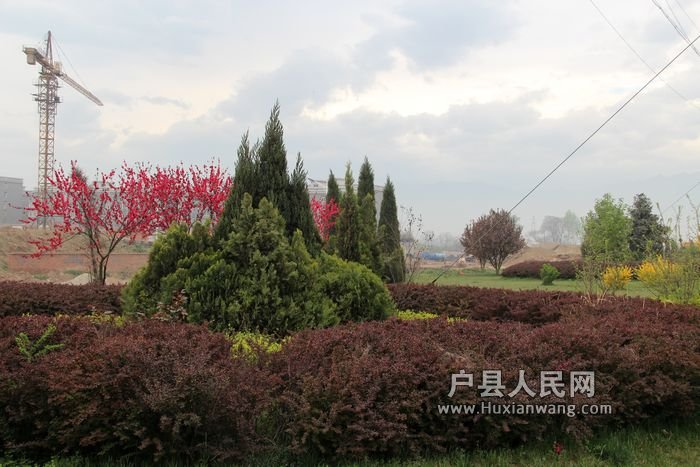 ľ 064.jpg