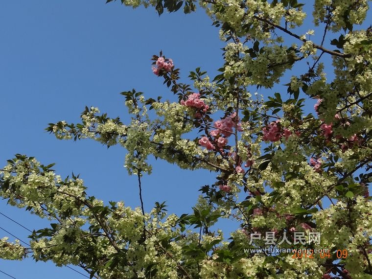 DSC04355.JPG