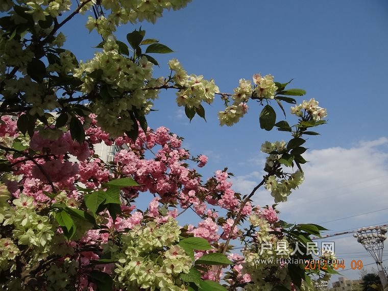 DSC04335.JPG