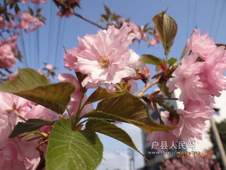 DSC04347.JPG