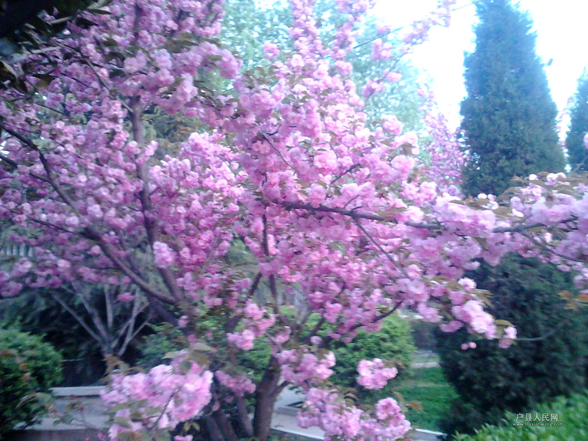IMG_20120410_190902.jpg