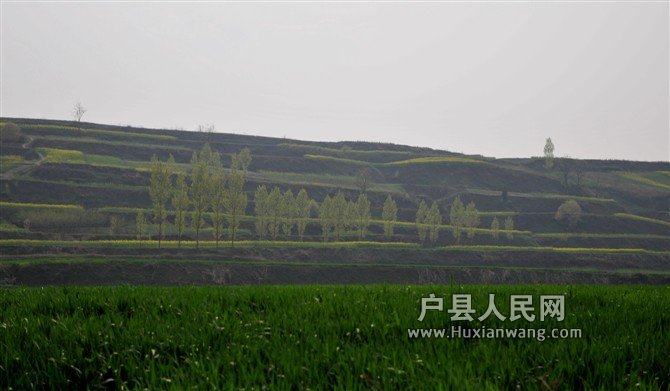 psbeCA06WS00.jpg