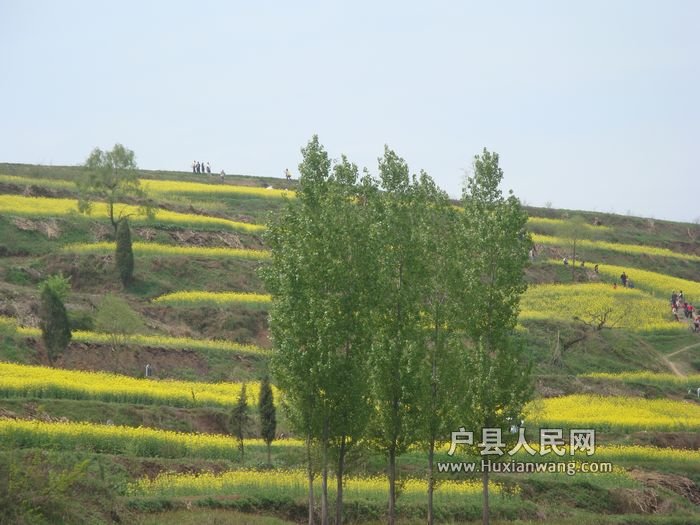 DSC07485.jpg