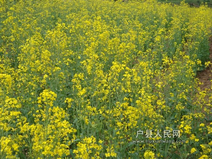 DSC07498.jpg