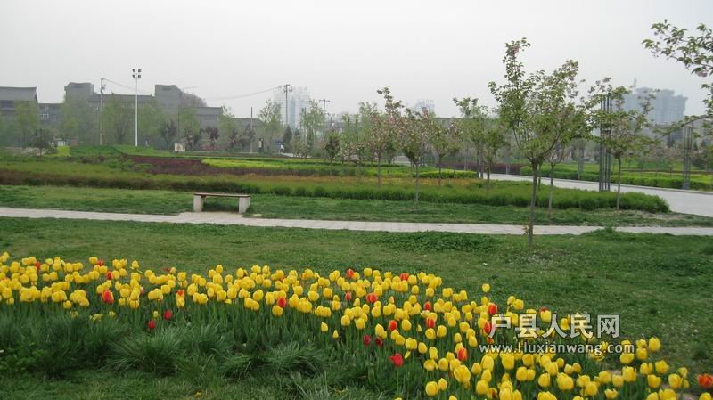 С IMG_0180.jpg