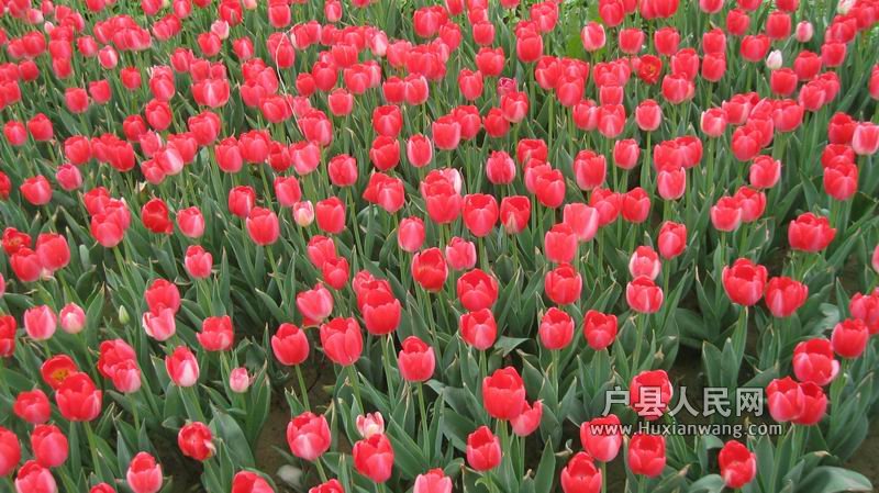С IMG_0186.jpg