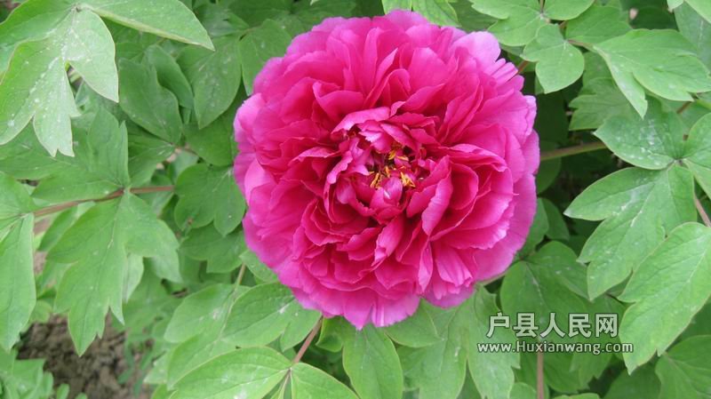С IMG_0157.jpg