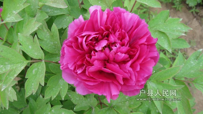 С IMG_0160.jpg