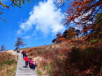 DSCF1225 1.jpg