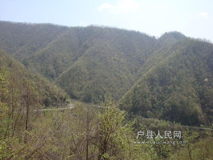 DSC07526.jpg