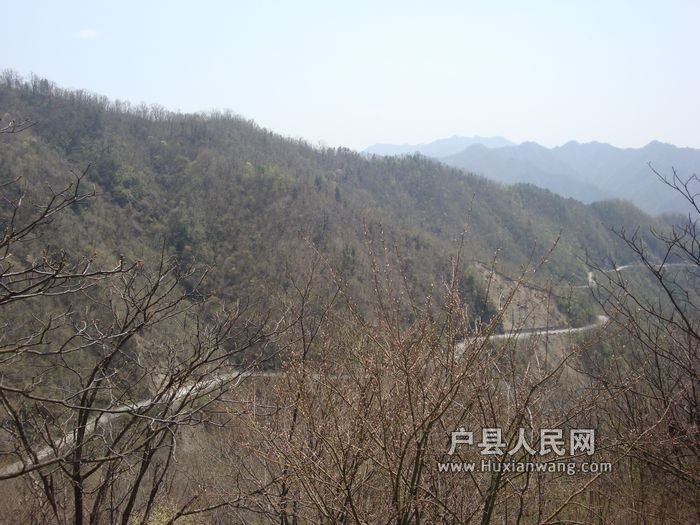 DSC07544.jpg