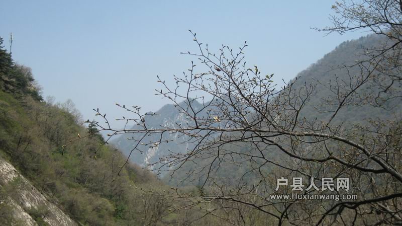 С IMG_0080.JPG