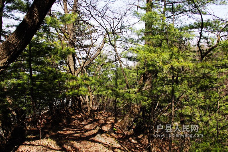 Ƭ 082.jpg