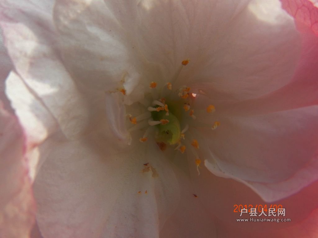 106_0360.jpg