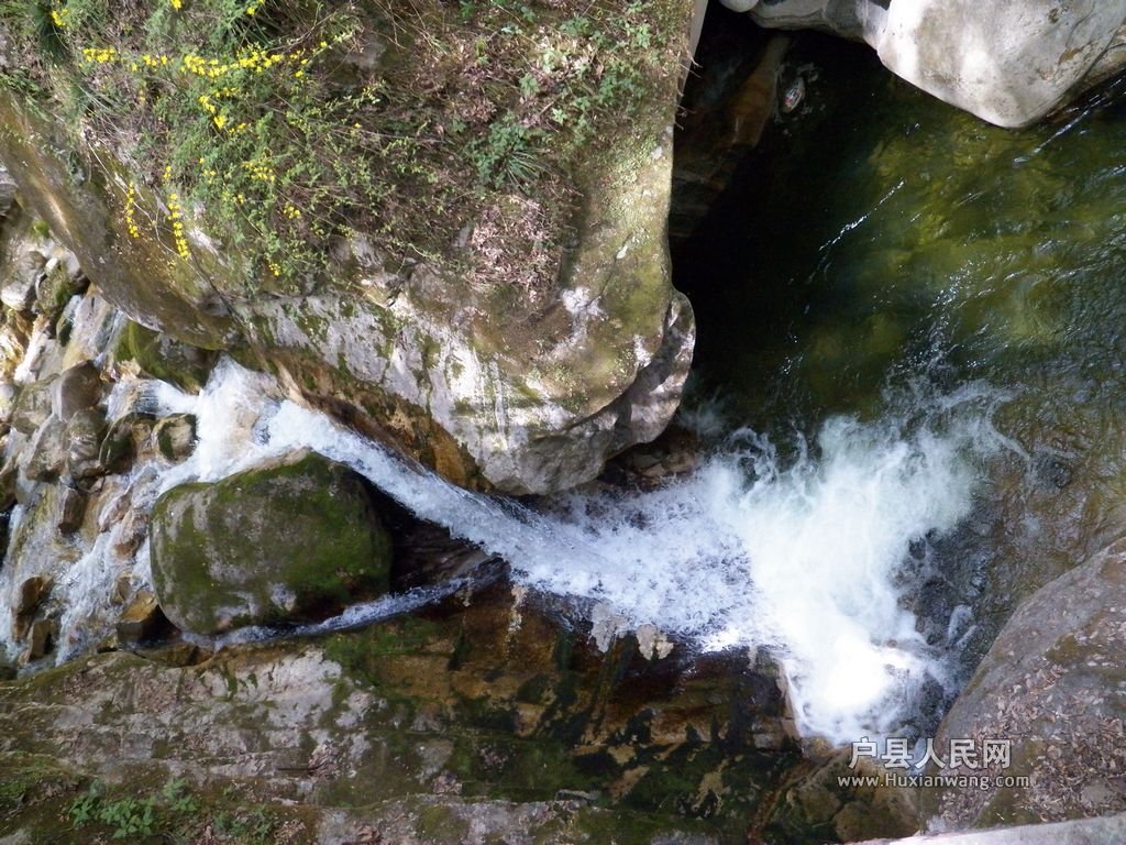 103_0603.jpg