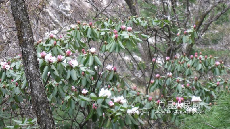 С IMG_0195.JPG