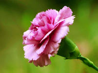 9252ae7ea152820f0dd7da2f.jpg