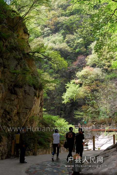 DSC_1922.jpg