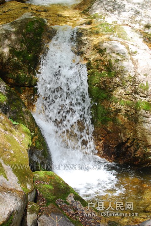 DSC_1950.jpg