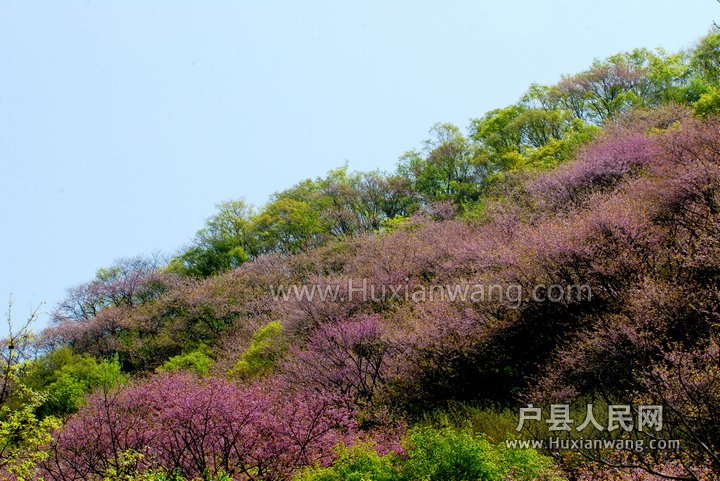 DSC_1958.jpg