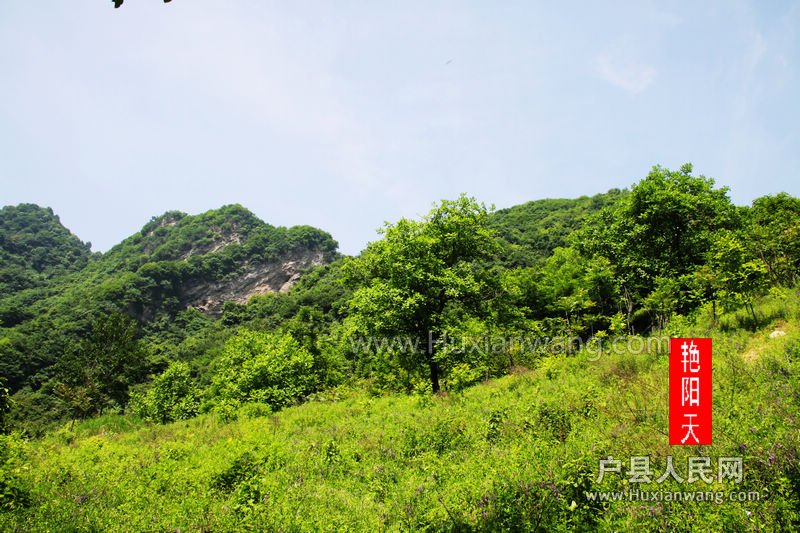 Ƭ 058.jpg