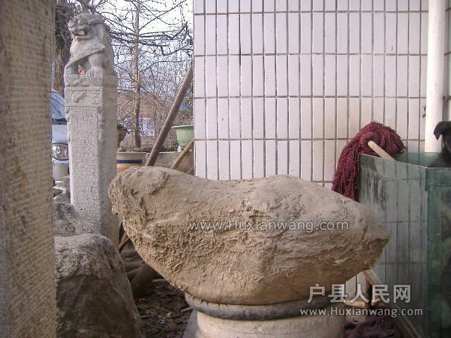 DSCF9208.JPG