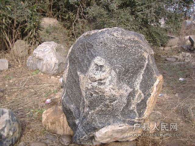 DSCF9207.JPG