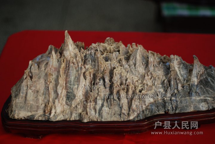 nEO_IMG_DSC_5296.jpg