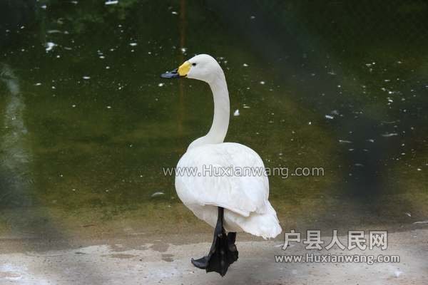 Ƭ 058.jpg