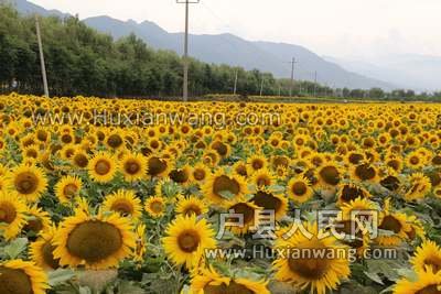Ƭ 025.jpg