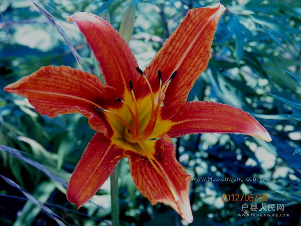103_1474.jpg
