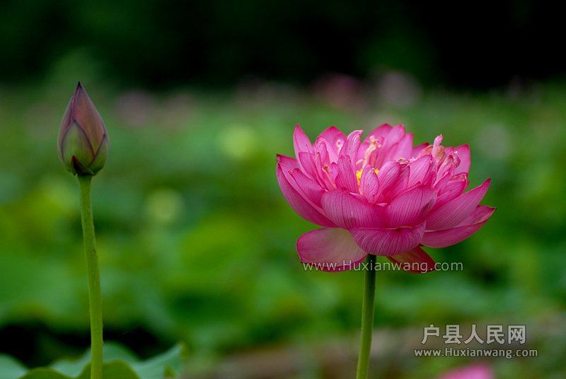 ʦĺɻ (17).jpg