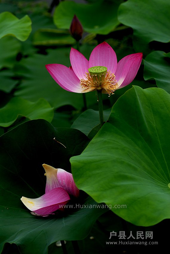 ʦĺɻ (20).jpg